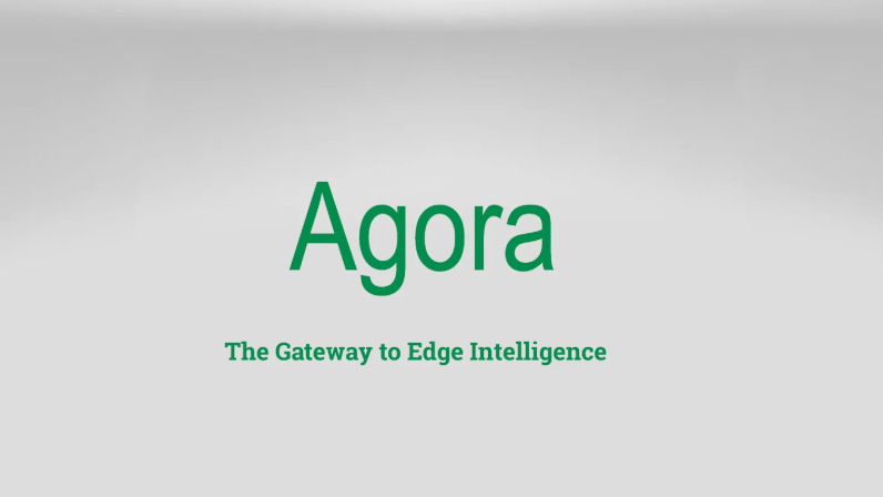 Agora Overview, Flare Monitoring and Security